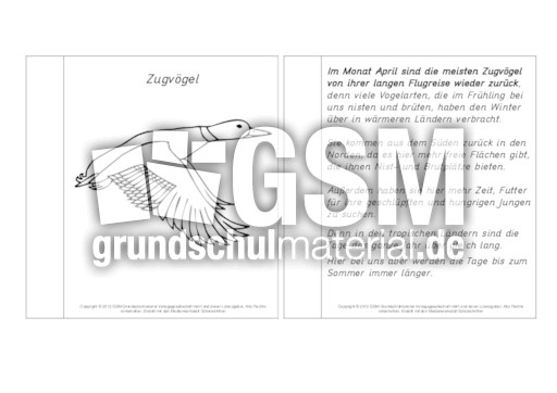Mini-Buch-Zugvögel-Lesetext-SW.pdf